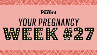 Your pregnancy: 27 weeks
