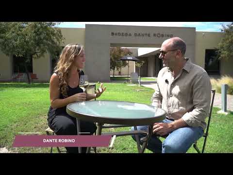 DANTE ROBINO - LUJAN DE CUYO - MENDOZA