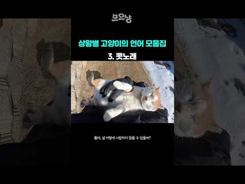 상황별 똘이의 언어 모음집