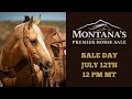 Sale LIVE The 2025 Montana S Premier Horse Sale