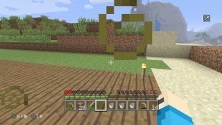 のんびり夜更かしマイクラ