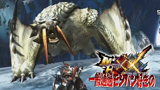 【MHXX】お願い！当たってぇぇぇぇぇぇ！【ベリオロス】ep24