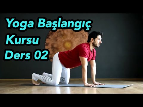 Yoga Kursu | Yoga Ultra Başlangıç Ders 02