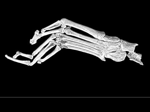 Image de prévisualisation YouTube