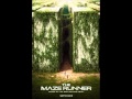 Nightmare - Arshad | The Maze Runner ...