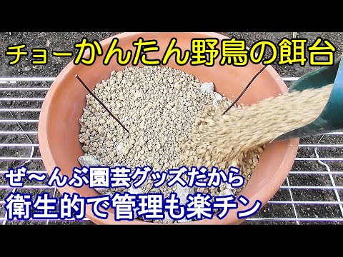 なぜ鶏や野鳥の餌箱に砂を入れるのでしょうか？  庭園