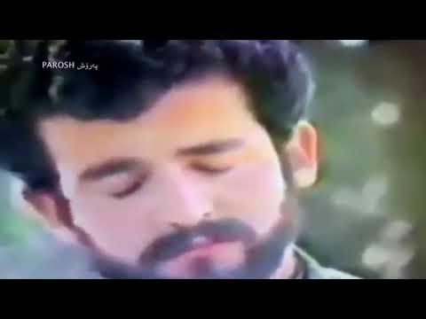 تیپی بابان نەریمان بابان