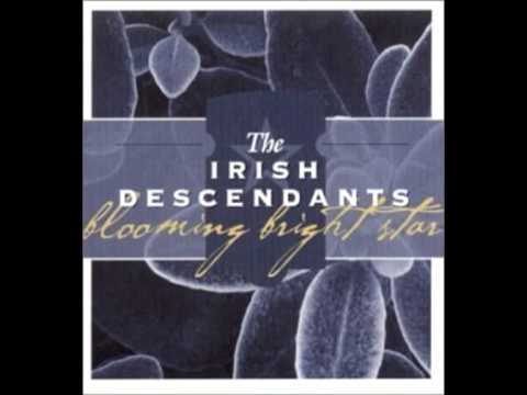 Irish Descendants  - Step it out Mary