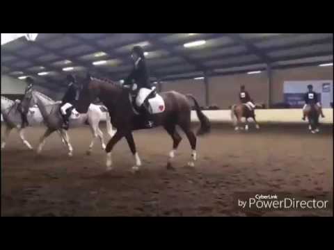 Ponycarrousel De Ruif - Nk carrousel 2017