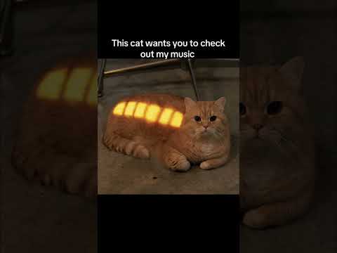 #cat #music #spotlightfinds #xanthe #memes #nowstreaming #bluesmusic