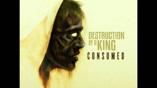 Destruction Of A King - Think About Yourself (New Song!) 2011