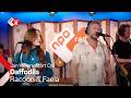 Racoon & Faela - Daffodils | NPO Radio 2