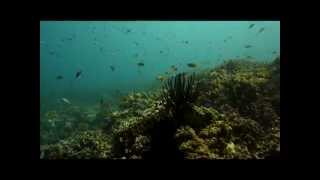 preview picture of video 'Philippinen Camiguin Island 2013'