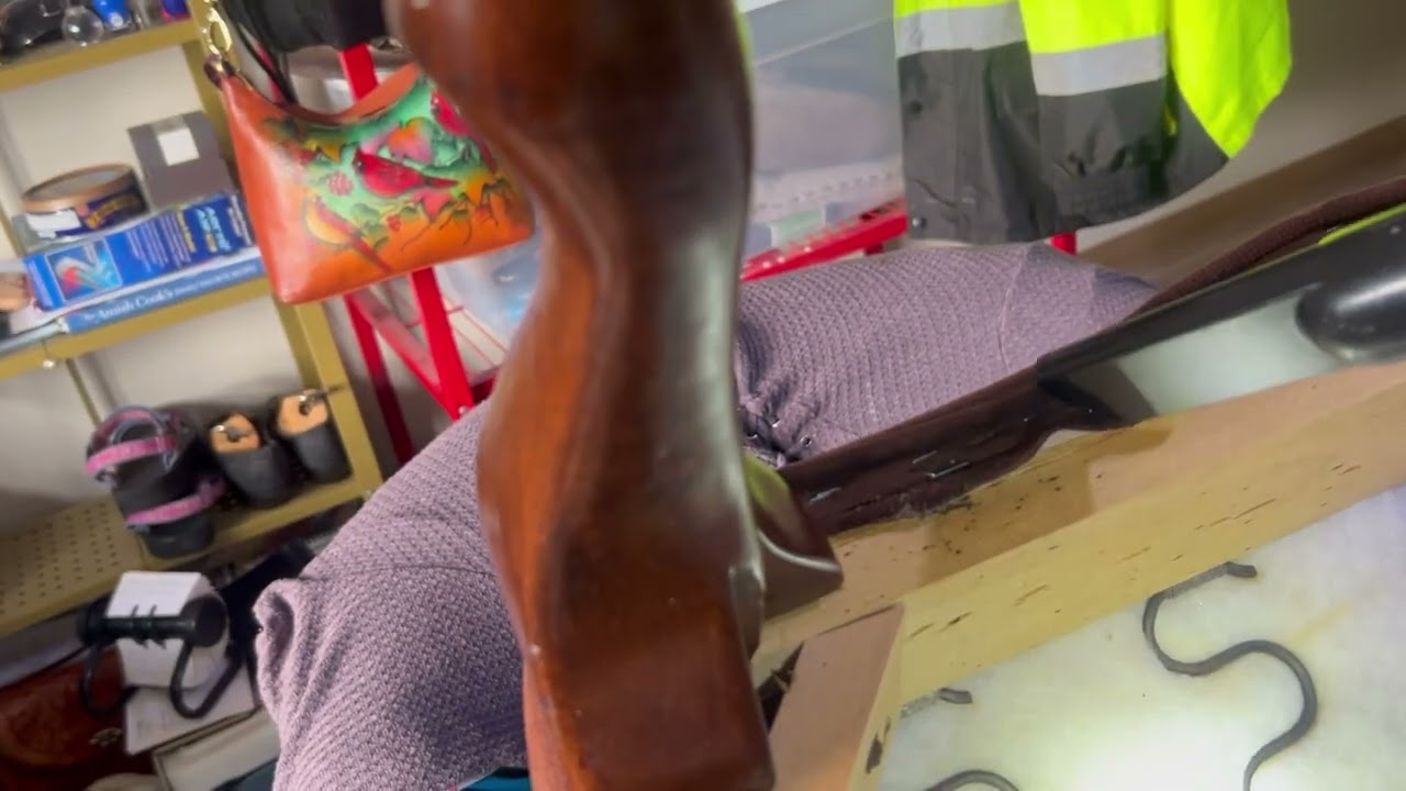 Leather Chair Hides Bed Bugs