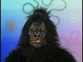 Gorilla GEORGE THEY RE ONTO US READ DESCRIPTION
