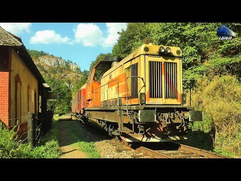 Trenurile Toamnei/Autumn Trains in Defileul Crișului Repede Canyon - 12 September 2019