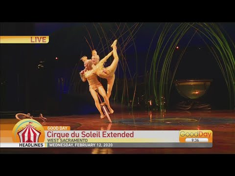 Amaluna Extends Shows