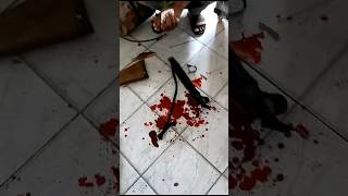 Download lagu Senapan PCP Meledak,, Tetap Hati2 Kawan.. Semoga Baik2 Saja #pcp #airgun #senapananhin mp3 Download lagu Senapan PCP Meledak,, Tetap Hati2 Kawan.. Semoga Baik2 Saja #pcp #airgun #senapananhin mp3