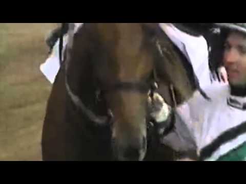 L'ADDIO DI MONI MAKER servizio di CLASS HORSE TV