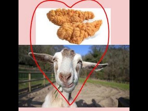 download lagu mp3 mp4 Goat Strips, download lagu Goat Strips gratis, unduh video klip Goat Strips
