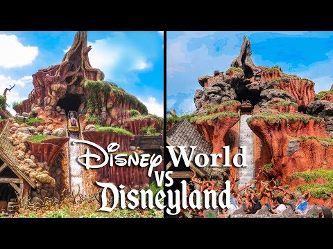 Top Disney World Rides vs Disneyland Rides!