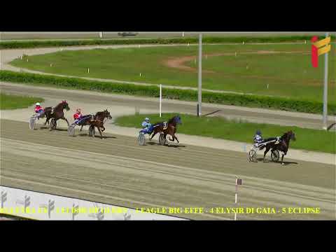 Prova di qualifica del 22 Ottobre 2022 - 2 Anni - Metri 1600