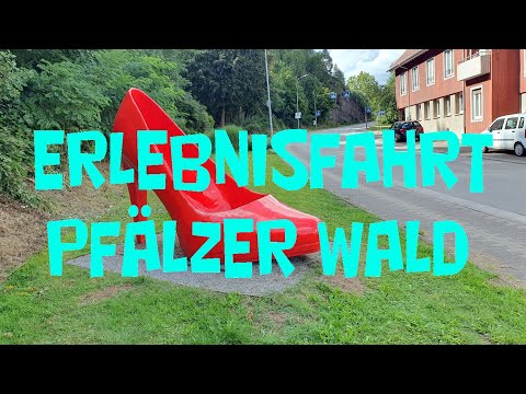 Erlebnisfahrt  Pfälzer Wald   Spätsommer mit Drohnenfahrten  01.-03.Sept.2023