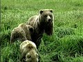 Dr Dolittle 2 Extra Bear Necessities A Kids Guide To Grizzlies VHS RIP 2001