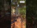 Видео превью