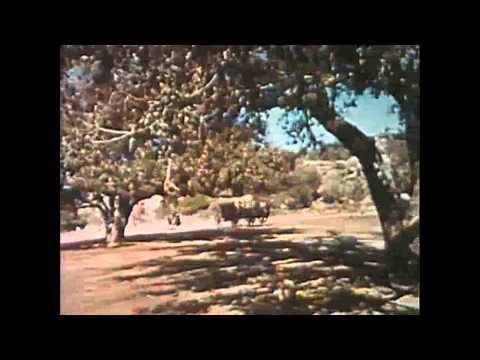 Bob Sinclar Feat Mr shammi_ Me Not A Gangsta Movie