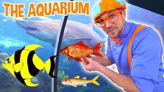 Download lagu Blippi Visits an Aquarium | Blippi | Animal Cartoons | Funny Cartoons | Learn about Animals mp3