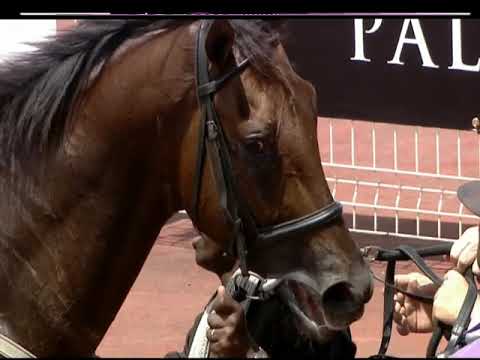 Post Race Interview : 02 November 2019 TURFFONTEIN Race 1