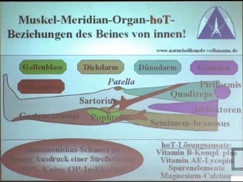 Das Ekzem gribok der Unterschied Atopitscheski die Hautentzündung die Merkmale und die Behandlung