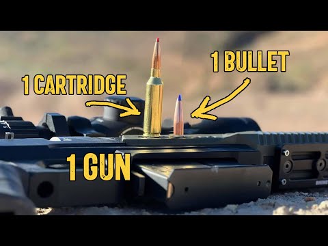 One Gun, One Cartridge, One Bullet for the Rest of Your Life