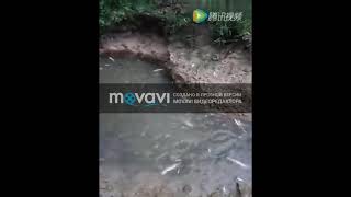 Электро удочка с берега фото