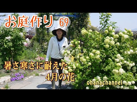 ohanachannel