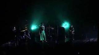 Sora - Hiljaa Metsassa