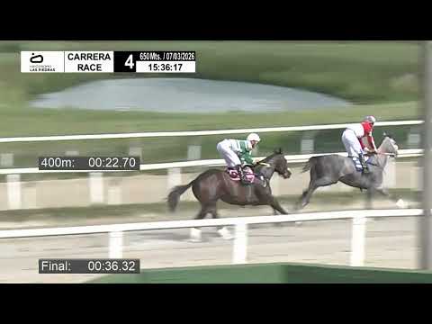 3/7/2026 – Hipodromo Las Piedras – Carr 4 – INSURGENTE (2018)