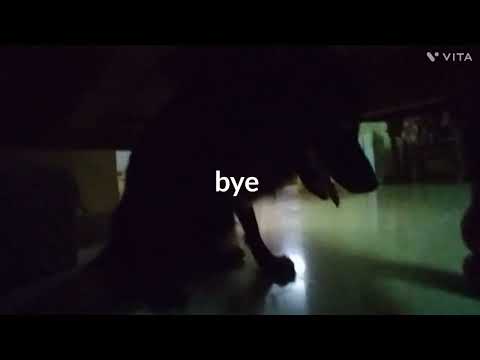 hallo praneel and candy