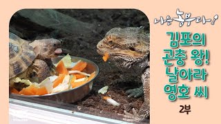 [나는농부다 286회 2부] 김포의 곤충 왕! 날아라 영호 씨