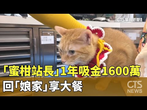 「蜜柑站長」1年吸金1600萬　回「娘家」享大餐