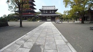 preview picture of video '一願成就のお寺。春の蓮華院誕生寺境内を歩き撮り  In Tamana City,Kumamoto'