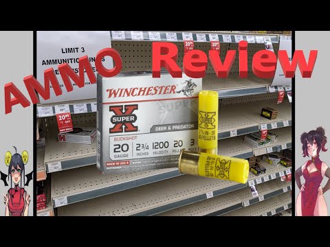 Winchester Wildcat .22 LR Rimfire Ammo Review - Has It Really Improved? My Browning Hates It!