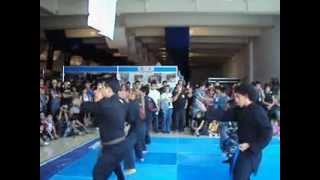 preview picture of video 'Expo Artes Marciales 2012 - Koga Ryu Ninjutsu - 001'