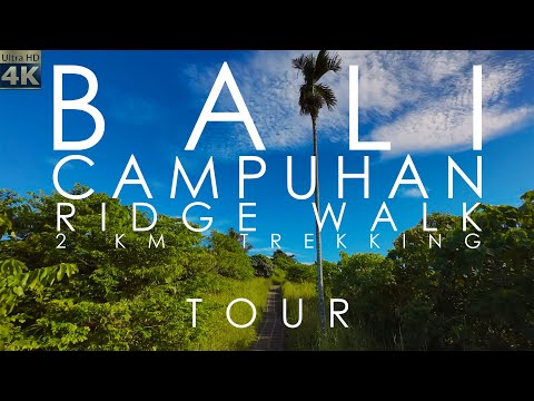 🇮🇩4K Campuhan Ridge Walk. 🌋 Bali 🏝 Ubud 🙏 2 km trekking walking tour. Beautiful rice 🌾 terrace.