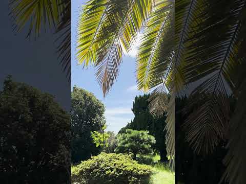 See Kobe U - 秋風 / Autumn wind