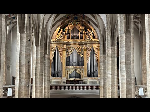 The Great 1714 Gottfried Silbermann Organ at Freiberg Cathedral, Germany | Demonstration of Stops