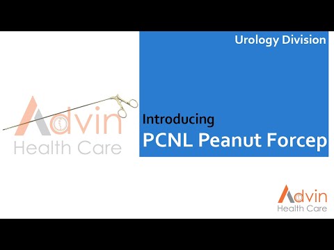 PCNL Peanut Jaw Forcep