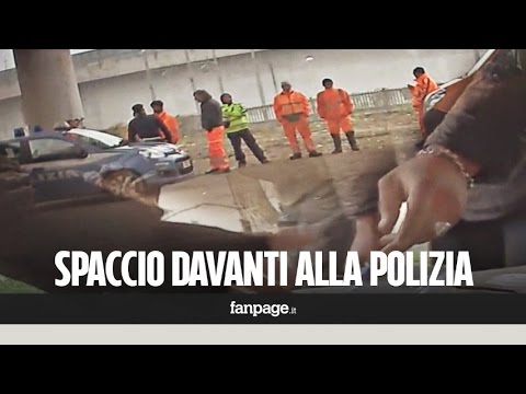 Parassiti di funghi della presentazione di persona Parassiti della persona in un duodeno