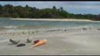 preview picture of video 'Natadola Beach, Fiji'